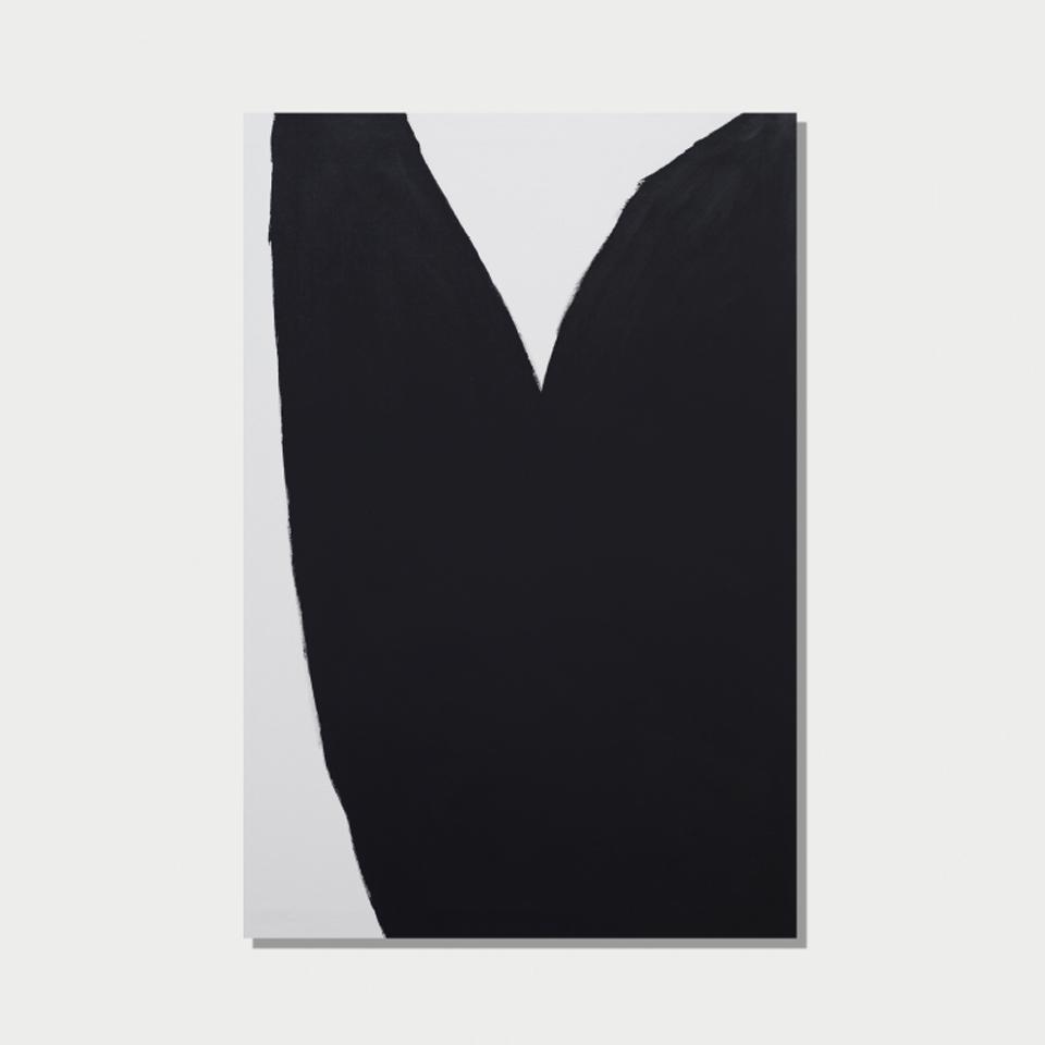 Forma-Pittura